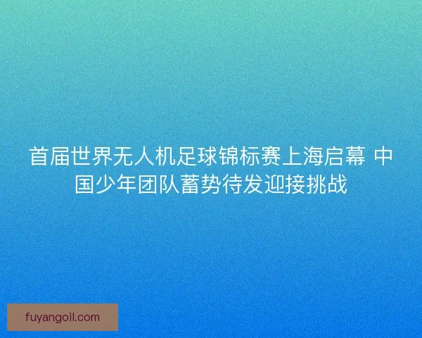 首届世界无人机足球锦标赛上海启幕 中国少年团队蓄势待发迎接挑战
