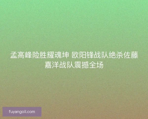 孟高峰险胜耀魂坤 欧阳锋战队绝杀佐藤嘉洋战队震撼全场
