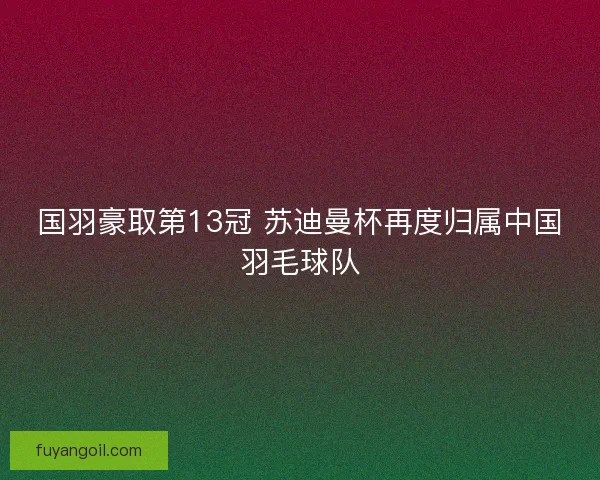 国羽豪取第13冠 苏迪曼杯再度归属中国羽毛球队